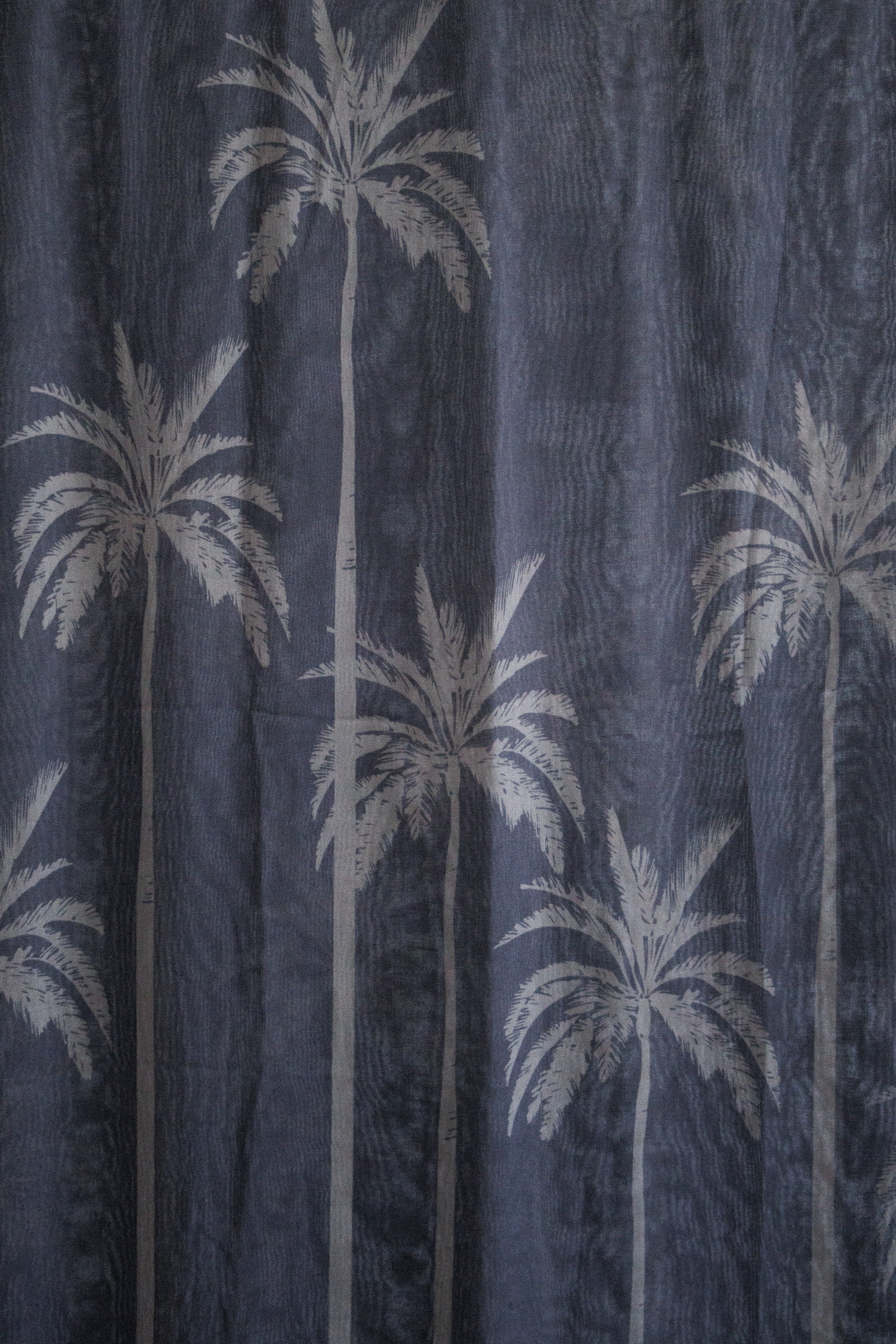 Golden Palms Print